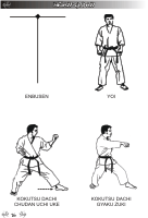 A Saga do Karate